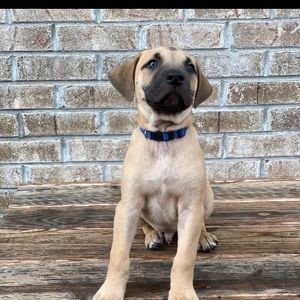 Meet your Posher, Tate